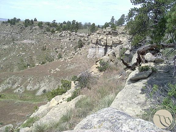 4th image of 10550 Reno Ln