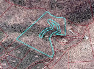 99999 Woodburn Dr, Swannanoa, NC 28778