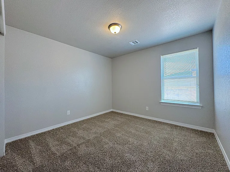 14361 Star Cactus — Photo 12