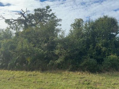 12349 Bacchus Rd Lot 19, Pt Charlotte, FL, 33981
