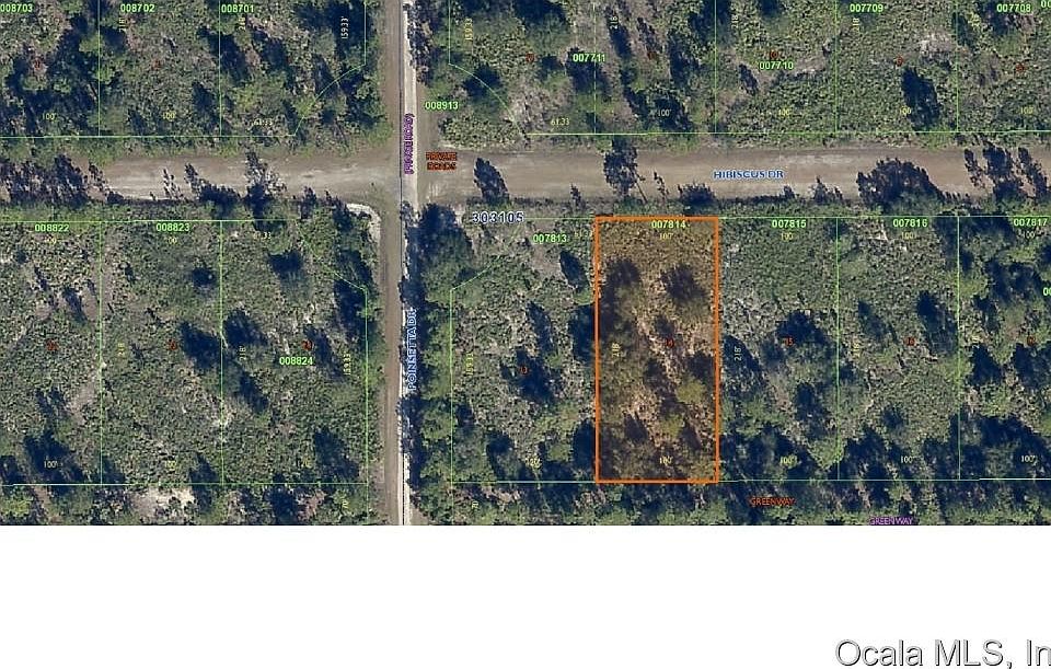1st image of 223 Hibiscus Dr