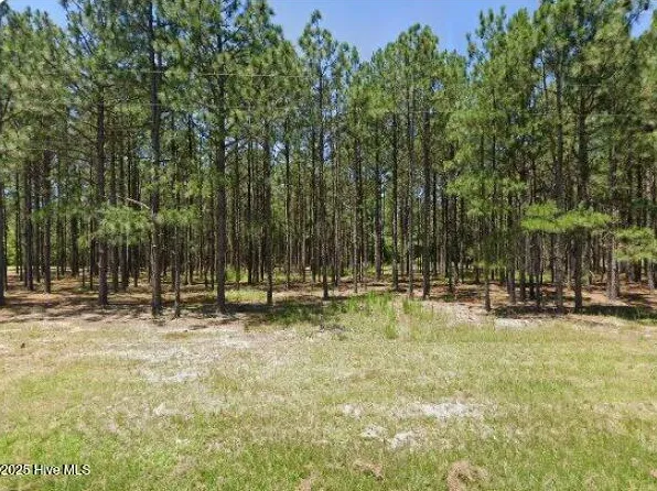 1890 Flowers Road, Jackson Springs, NC 27281