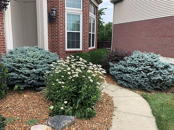 4th image of 369 Old Willow Ct