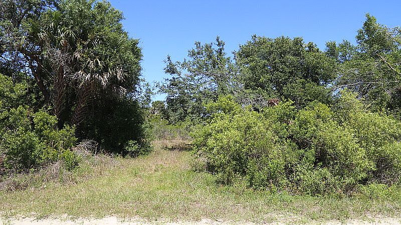 1st image of 19183 NW 272nd St