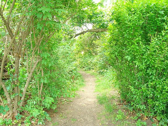 Path to Park