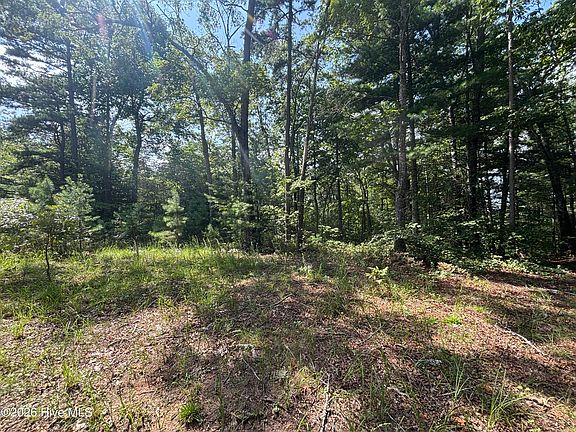3rd image of 5 Majestic Mountain Trail LOT 5