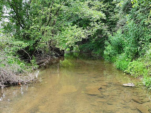 5th image of 795 Honey Creek Rd E