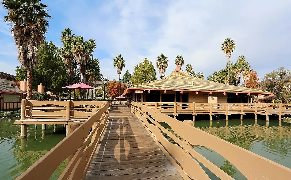 Palm Lake — Photo 4