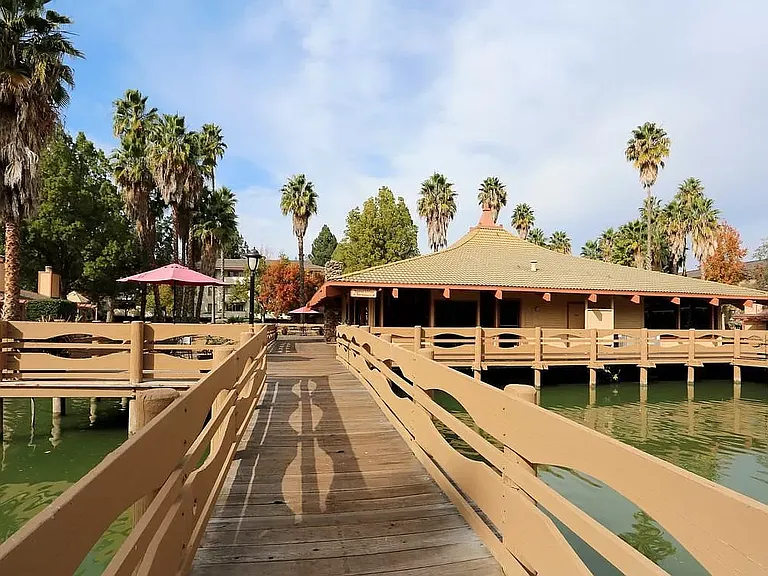 Palm Lake — Photo 4