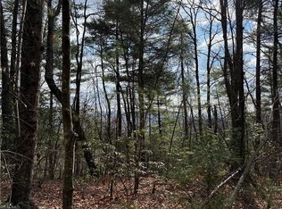 Lots 51 & 52a Staghorn Rd, Purlear, NC 28665
