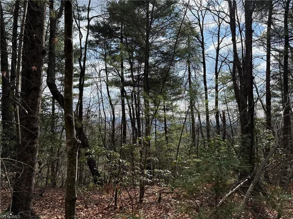 Lots 51 & 52a Staghorn Rd, Purlear, NC 28665