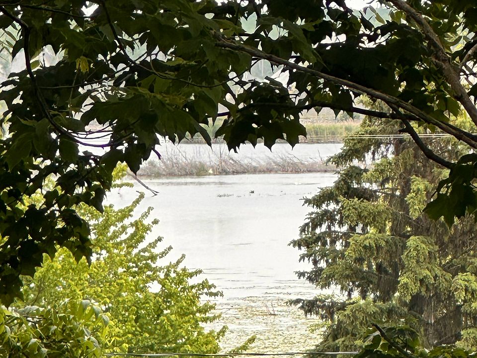 Lake views