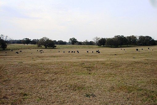 4th image of 1522 Highway 160
