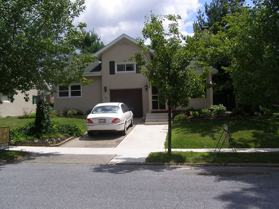 Beautiful tree-lined street