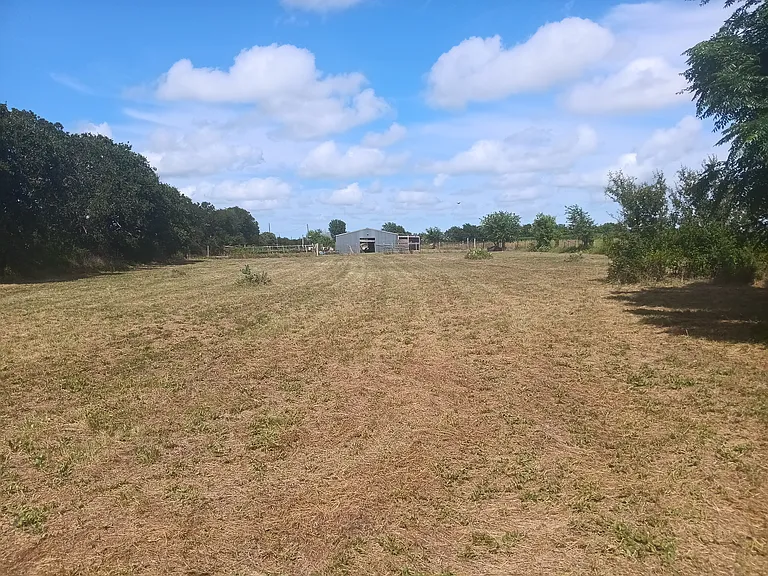 2585 County Road 305 — Photo 19