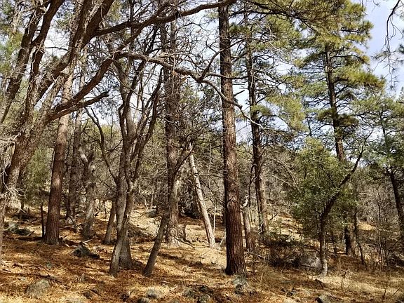 5th image of 9 Ponderosa Dr