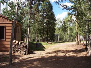 715 Trout Haven Rd, Florissant, CO 80816