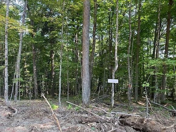 5th image of 1 W Oxbow Lake Rd #1448