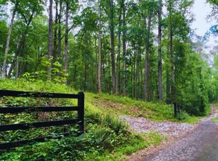 243 Pointe North Path #3, Dallas, GA 30132