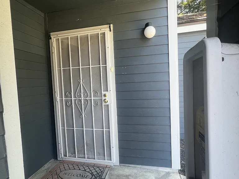 Front security door