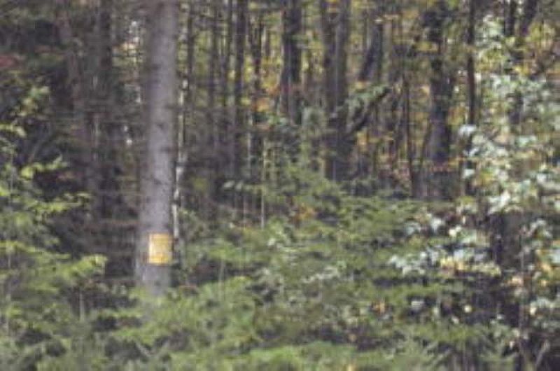 5th image of 13 JERSEYFIELD Road