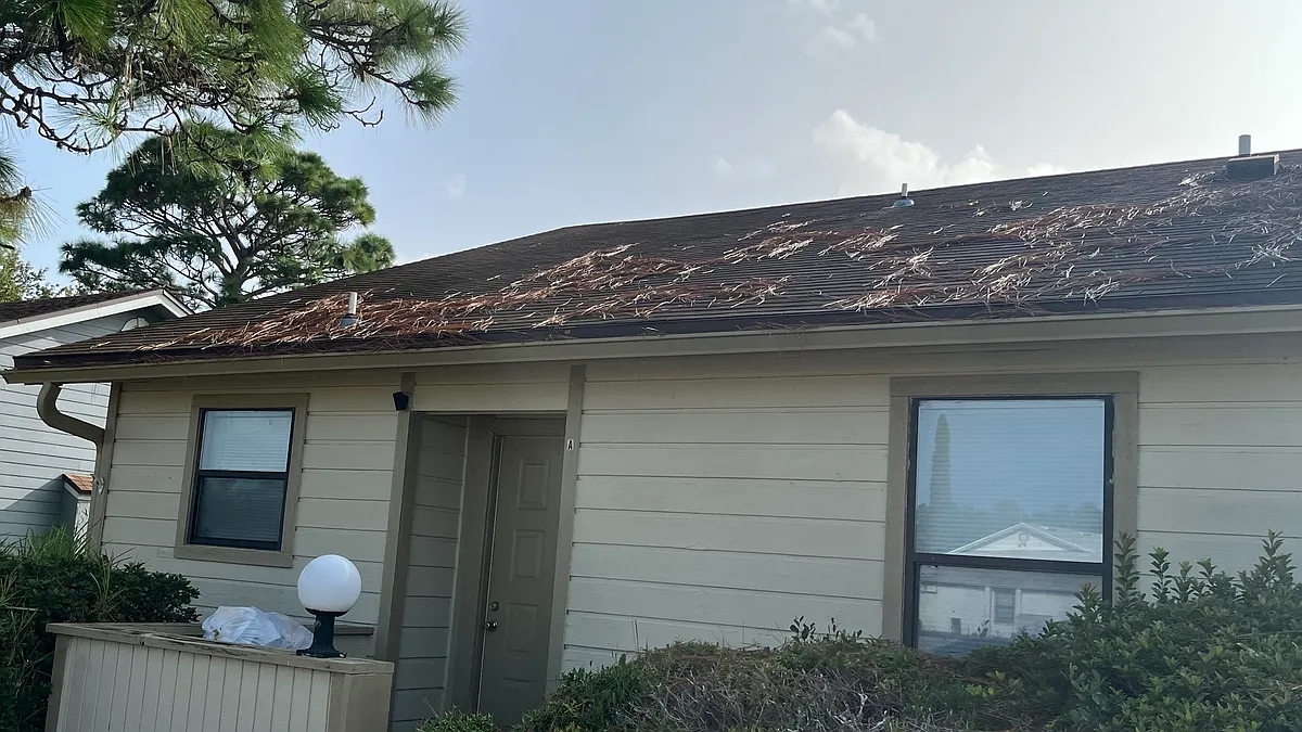 Building Photo - 1355 Jefferson Ave #A