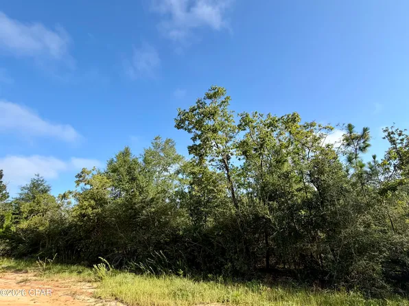 Lots 2 & 3 Rincon St, Alford, FL 32420