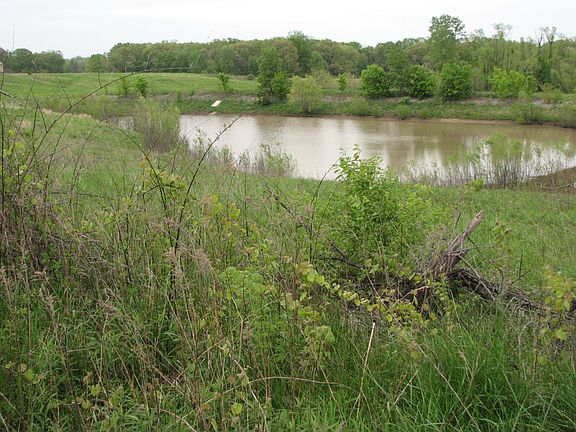 Pond