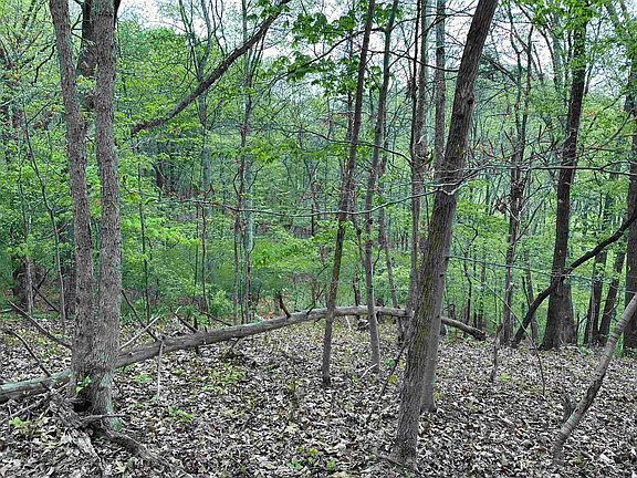 5th image of Tbd Julia Simpkins Rd