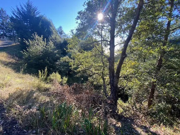 615 Muskrat Cir, Whitethorn, CA 95589