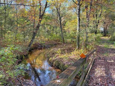 37.70 Acres 63rd Street, Lyndon Station, WI, 53944