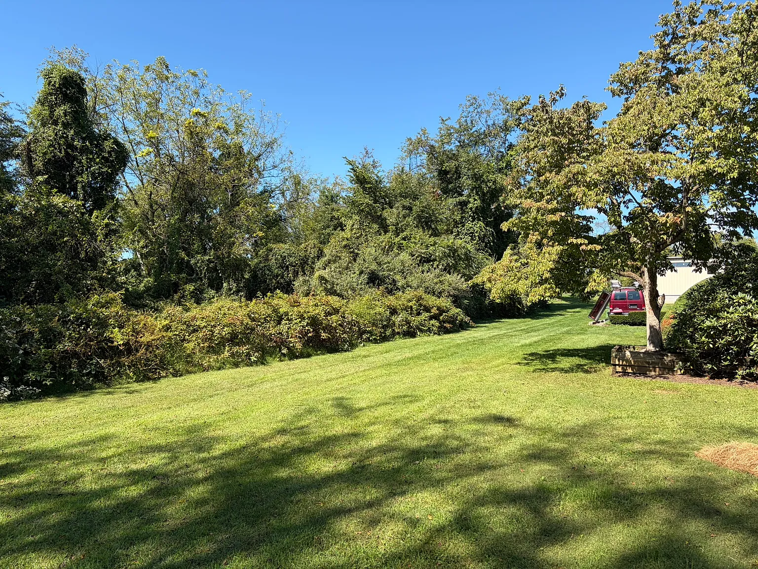 3 bed, 2.5 bath, 3000 sqft, $3,875 — Photo 4