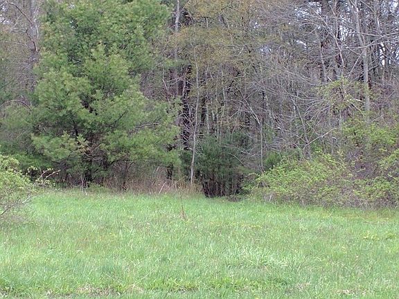 5th image of 222 Dolan Cir