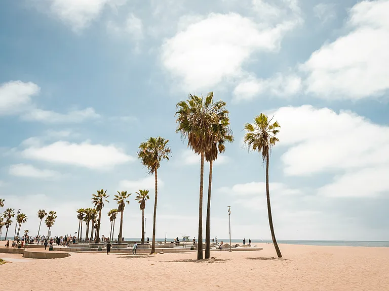 Ella Abbot Kinney — Photo 45