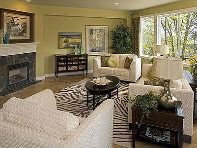 Snappy Living Spaces