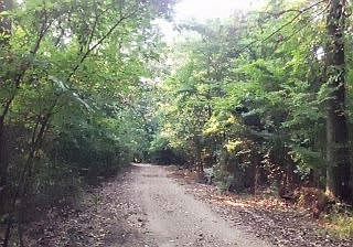 2nd image of 697 Bee Bayou Rd