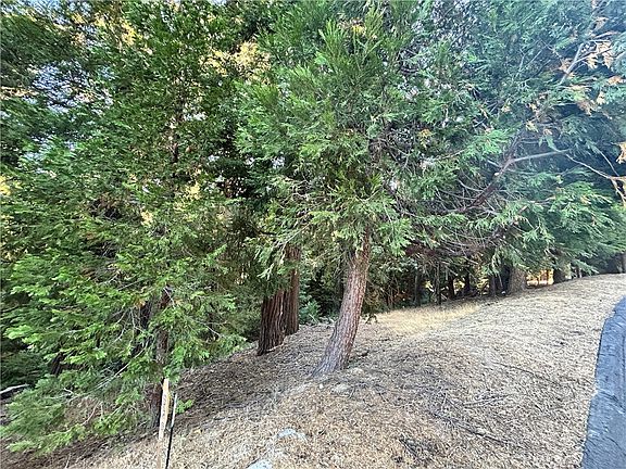 3rd image of 28980 White Dove Ln #14