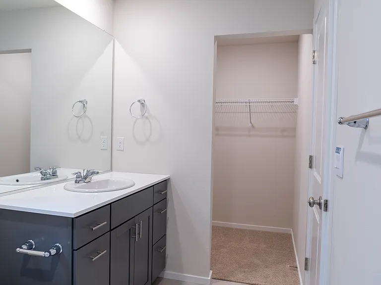 Master Bathroom and Walk In Closet