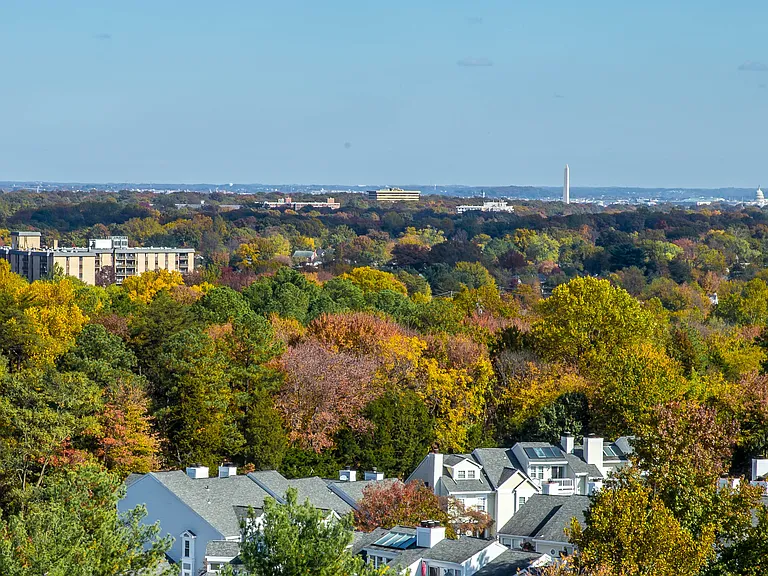 Munson Hill — Photo 14