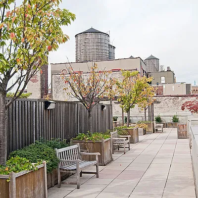 Rented by NY Living Solutions | media 17