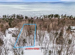 LOT 11 N Silver Ridge Rd, Mears, MI 49436