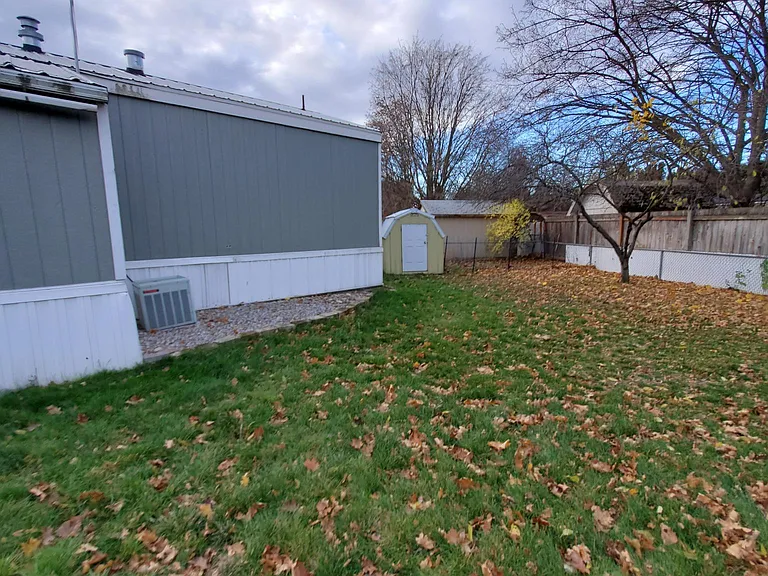 Back yard