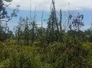 17th St LOT 596, Keaau, HI 96749