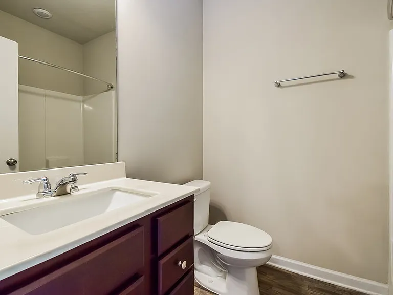 307 Hamilton Pointe Dr — Photo 16