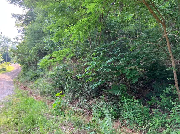 0 Roberts Trl Lot 454, Lake Lure, NC 28746