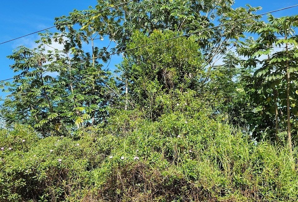 2nd image of Paradise Cir Lot 15