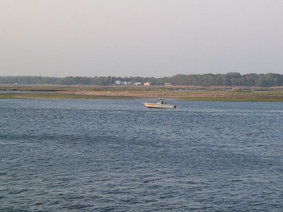 view from patio across river, Audobon Society refuge