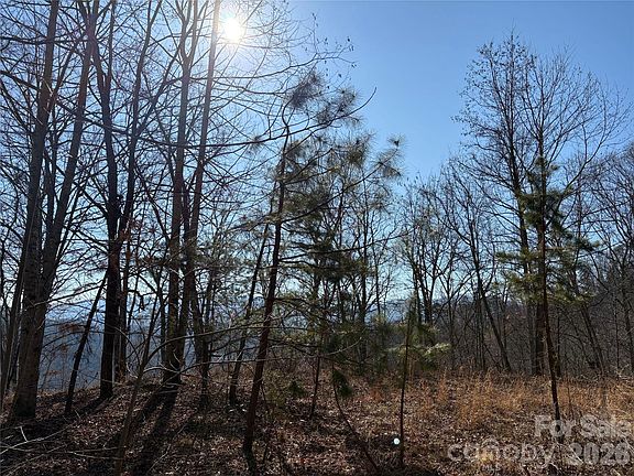 5th image of 0 Brush Creek Rd #37 & 41