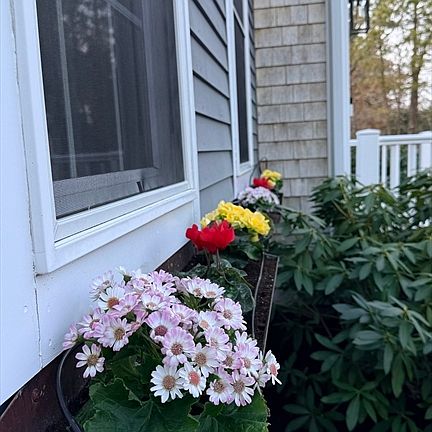 3rd image of 12 Wintergreen Rd