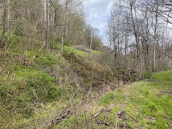 5th image of 2310 Wartrace Hwy